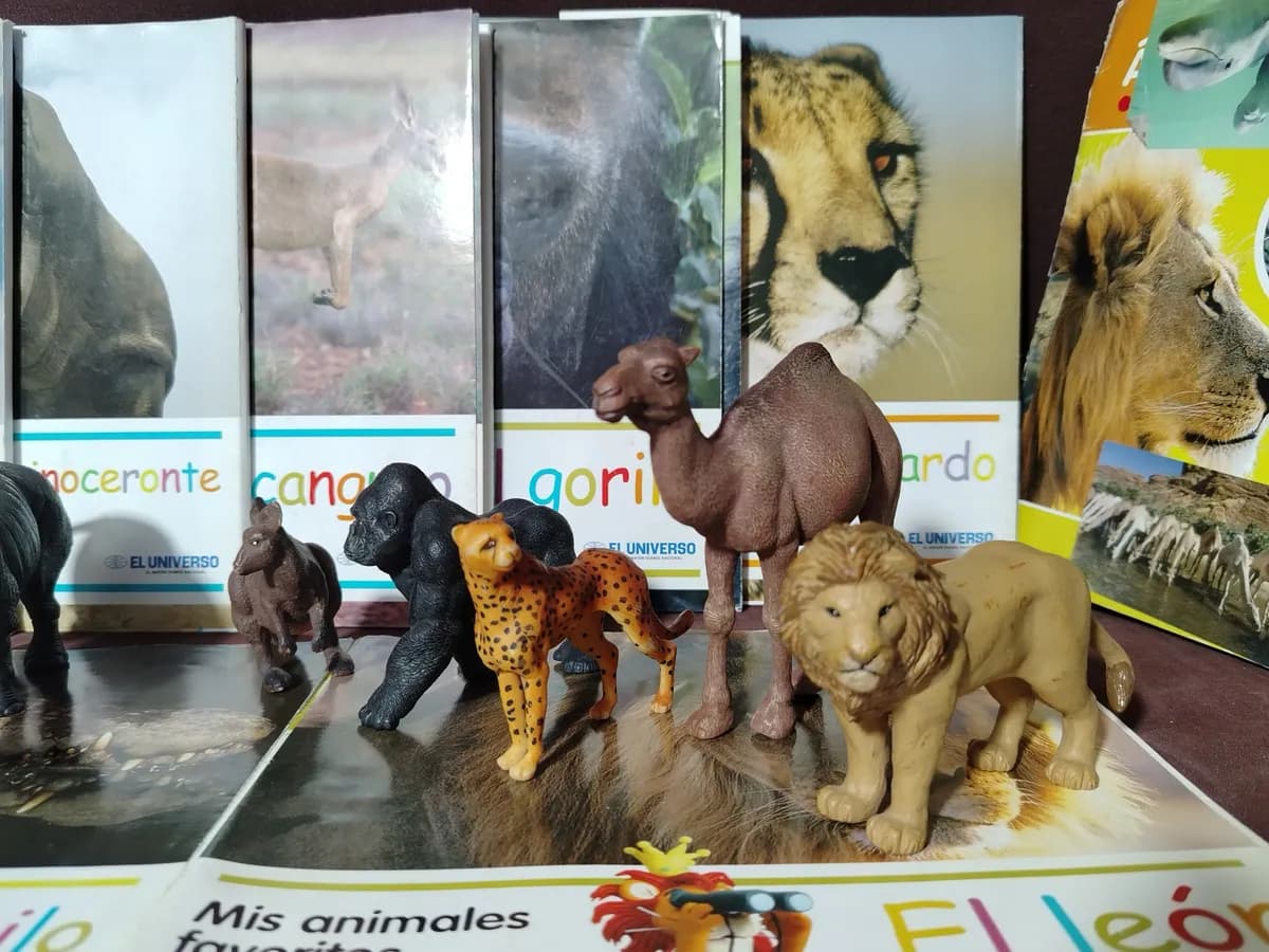 COLECCIÓN DE ANIMALES Y SUS LIBROS