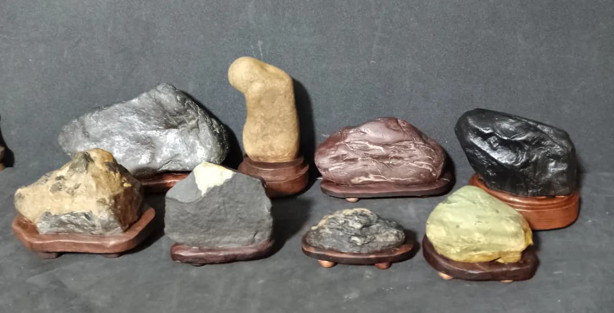 PIEDRAS Suiseki